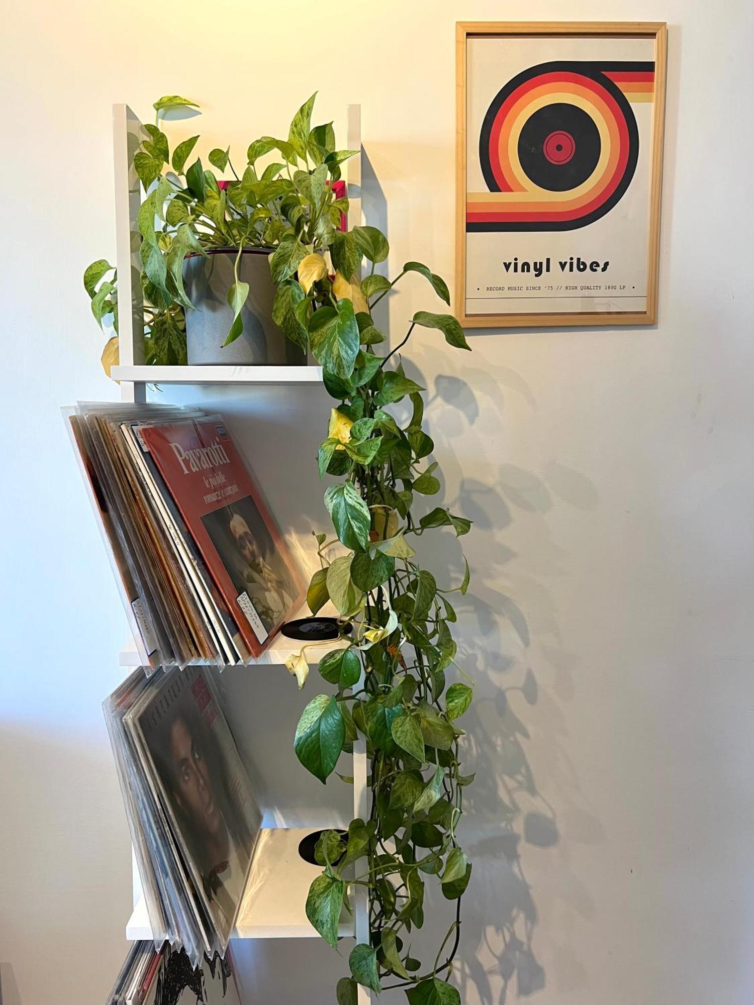 Eufonia Vinyl Friendly Apartment Roma Ngoại thất bức ảnh